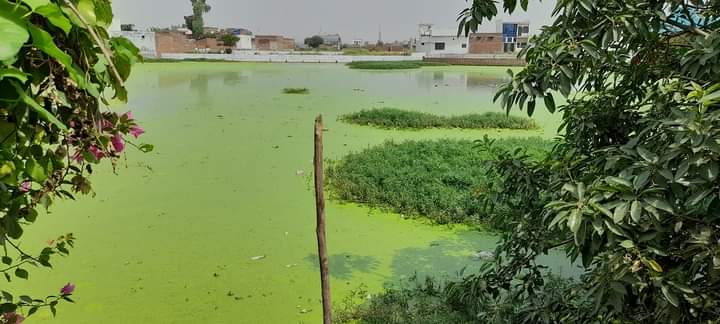 Thiriya Ka Talaab